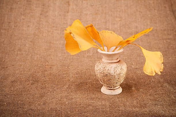 Jug with leaves Jug with leaves on sacking linen flax textile burlap stock pictures, royalty-free photos & images