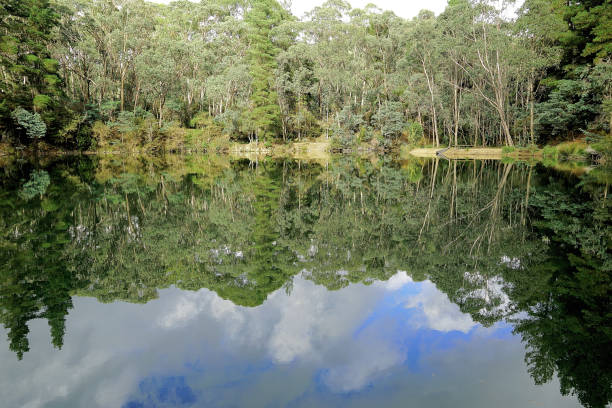 istock Harrietville, Victoria, Australia 1469630314