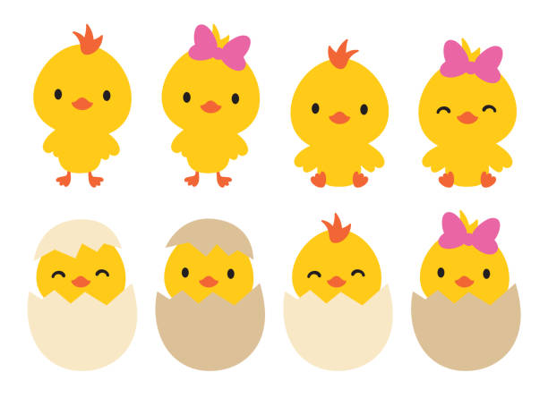 little baby boy and girl easter chickens ilustracja wektorowa - chicken eggs animal egg cartoon stock illustrations