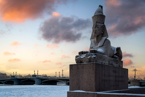 Saint Petersburg, Russia, 12.22.2021: Ancient Egyptian sculpture of the sphinx on the University embankment against the background of the dawn sky on a winter morning