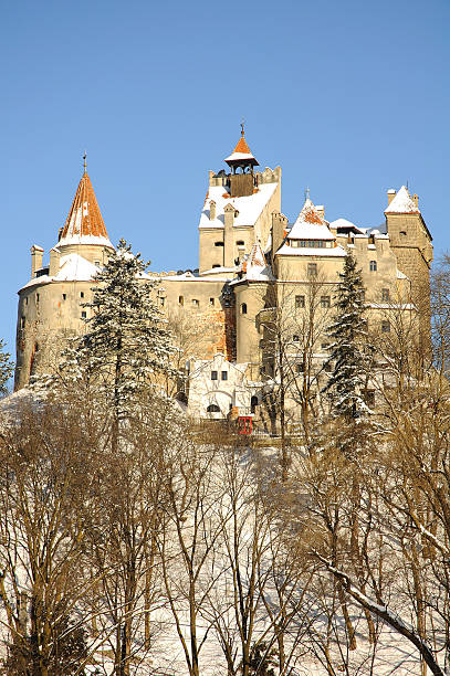 istock Dracula's Bran Castle view from Glade of the Queen 146963788