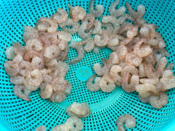 Shrimp that has been cleaned and peeled stock photo