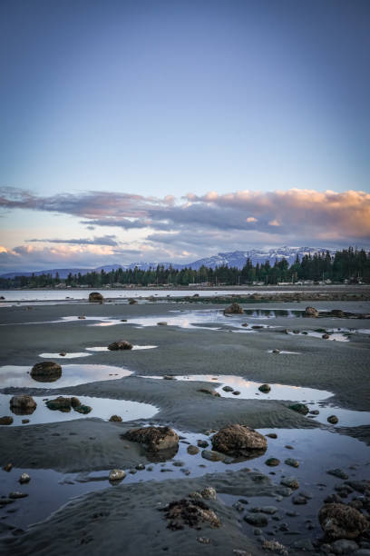 Rock on the Beach in Campbell River, Vancouver Island, BC, Canada