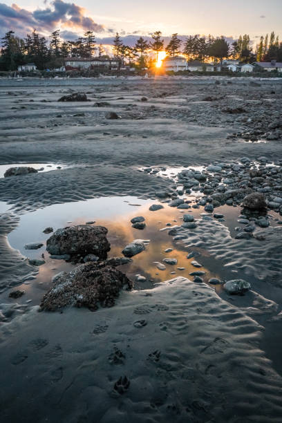 Rock on the Beach in Campbell River, Vancouver Island, BC, Canada stock photo