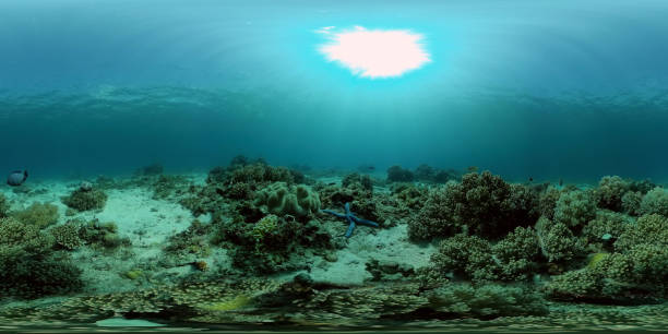 istock Coral reef with fish underwater. Philippines. Virtual Reality 360 1469644374
