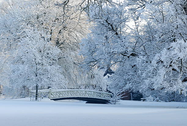 istock winter landscape in the Netherlands 146964522