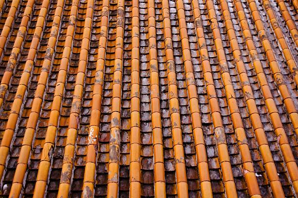 Roof Tile of Summer Palace in Winter stock photo