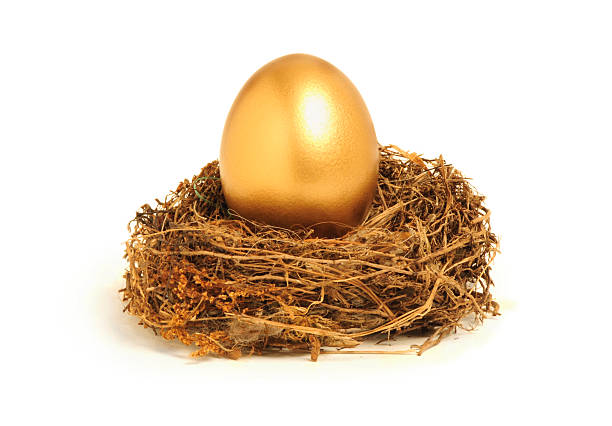 istock Golden nest egg representing retirement savings 146964788