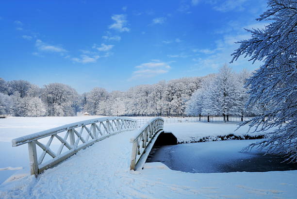 istock winter landscape in the Netherlands 146964795