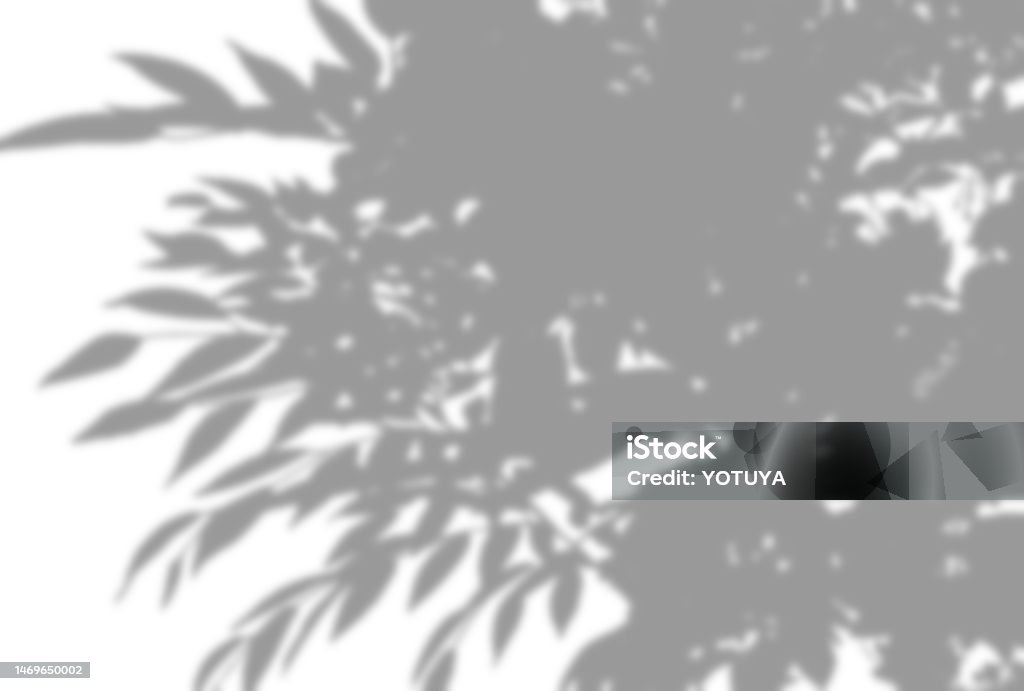Tree Shadow Background Sharp Beautiful Tree Shadow Background Illustration Stock Illustration ...