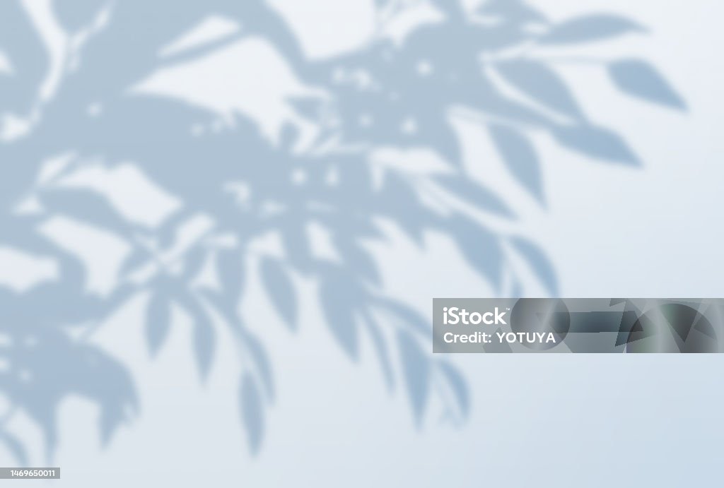 Tree Shadow Background Sharp Beautiful Tree Shadow Background Illustration Stock Illustration ...