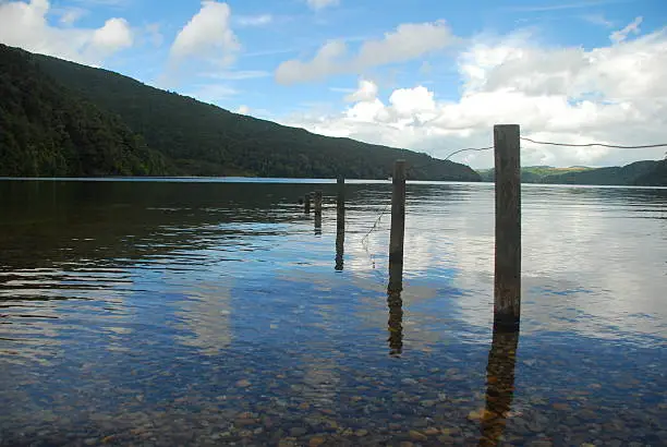 Lake Okataina, Rotoroa, NZ, old fence posts in the lake.