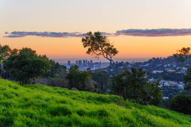 istock City of Angels: Los Angeles Viewed from Hilltop at Sunset 1469654862
