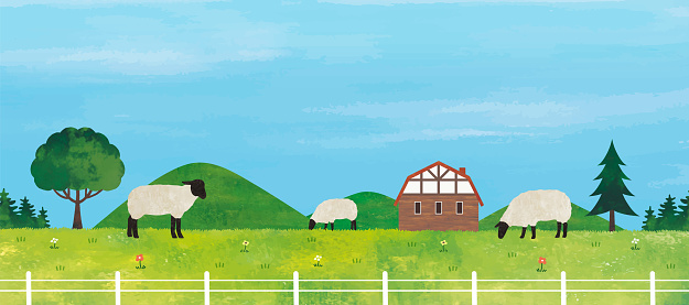 Scenery of a sheep farm