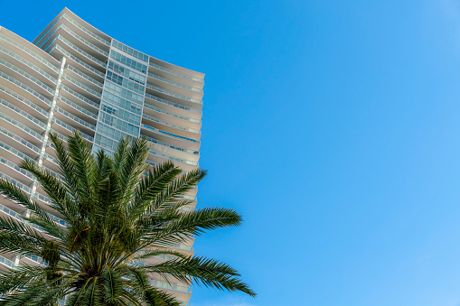 Palm tree at the front of a modern apartment building against the clear blue sky in Miami, Florida. High-rise apartment building with curved structure and glass balcony railings in a low angle view.