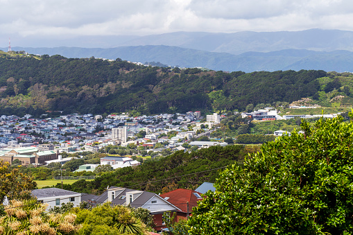 Wellington, New Zealand - November 30, 2022: Panoramic view of houses on Brooklyn suburb in Wellington, New Zealand