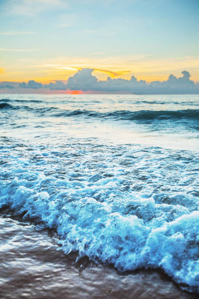 tramonto sulla spiaggia sul mare tropicale - tourist resort horizon over water usa virginia foto e immagini stock