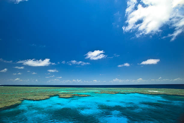 istock Great Barrier Reef Clam Gardens 146966333