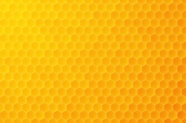 ilustrações, clipart, desenhos animados e ícones de fundo hexagonal sem costura, textura geométrica do padrão do mel - colmeia