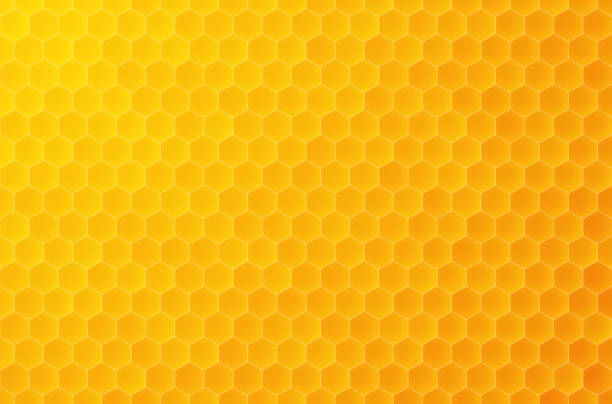 Hive tech texture Clipart Vector PNG , SVG, EPS, PSD, AI