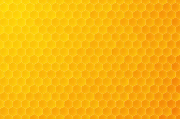 Seamless hexagon background, honey pattern geometric texture vector art illustration