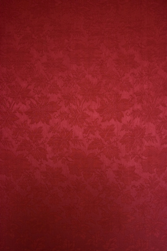 Royal patterned drapery wallpaper.