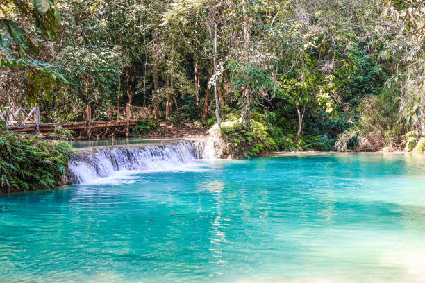 istock Kuang Si Waterfall, turquoise water and trees. 1469665467