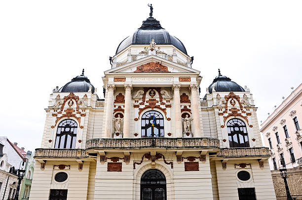 istock Theater of Pecs, Hungary 146966938