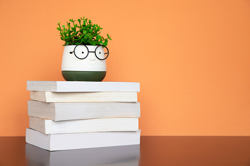 Books and plant with glasses