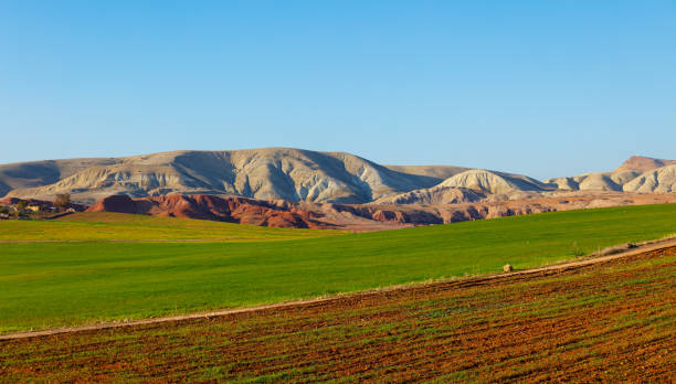 green agriculture and desertic mountain,  Moroccan landscape stock photo