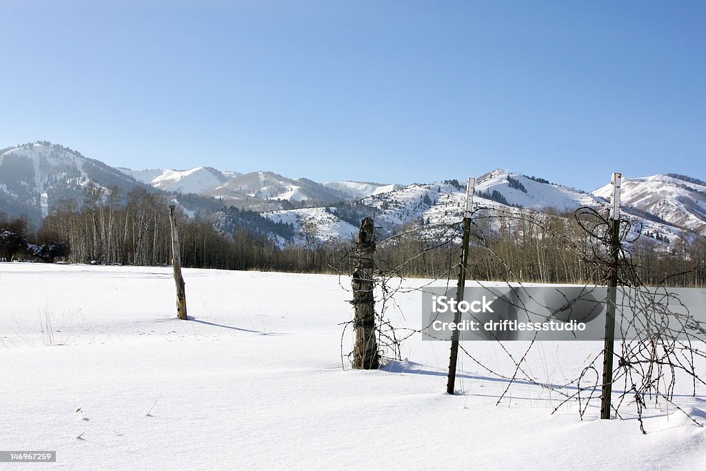 Broken barbed wire fence with snow and mountains A broken fence sits in a field between two ski resort in Park City, Utah. Bright, sunny day. You can see ski runs to the left and far right. Copy space above and below left. Abandoned Stock Photo