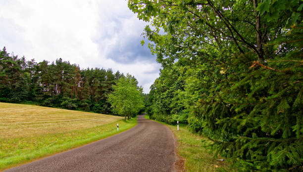 istock beautiful sky with clouds over the field near the forest 1469672824