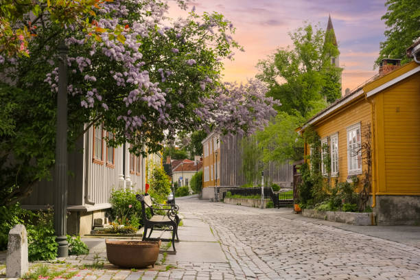 Bakklandet- popular torusitic district in Trondheim with colorful wooden houses and shops