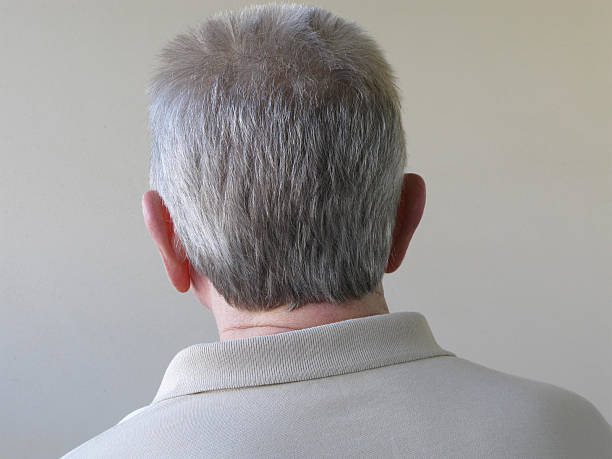 parte posterior de la cabeza - rear view back of head back men fotografías e imágenes de stock
