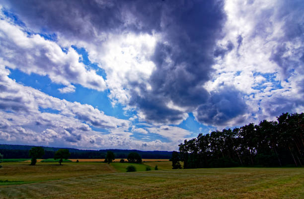 Peaceful showing white clouds drifting smoothly across a clear blue sky, capturing the calm rhythm of nature and the passage of time.