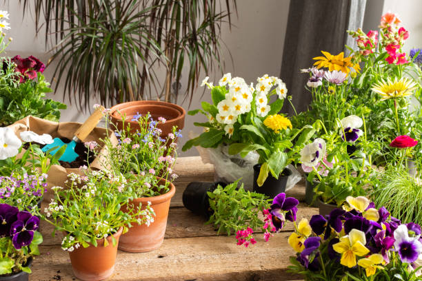 istock Spring decoration of a home balcony or terrace 1469678225