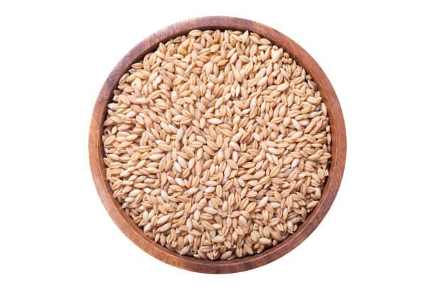 istock Bowl of barley grains isolated on white background 1469679241