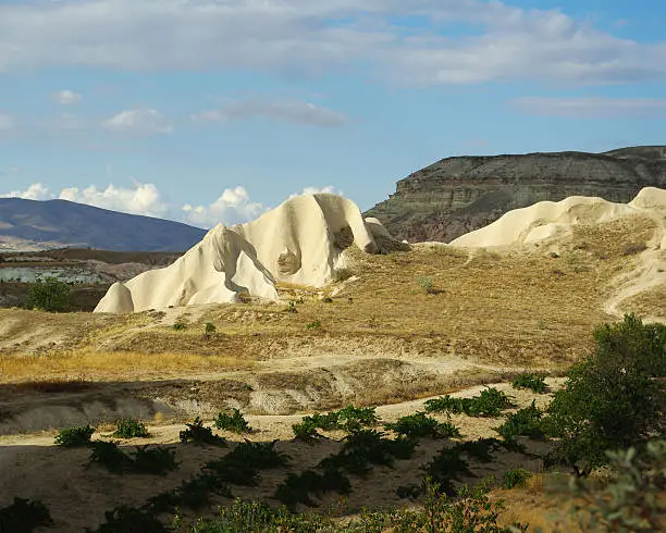 A perspective composition with dark-green vineyards in the foreground and fantastical white tuff formation as a central object (blue sky with white clouds in the background)