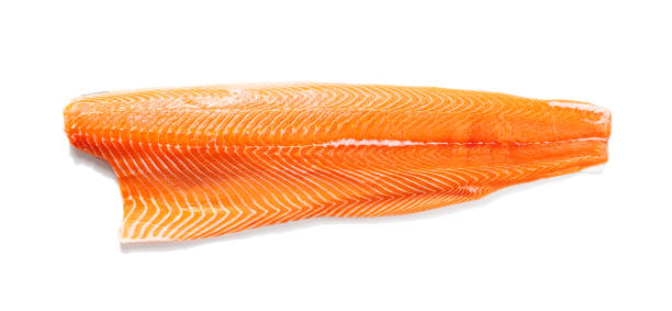 istock Fresh raw salmon fillet 1469686041