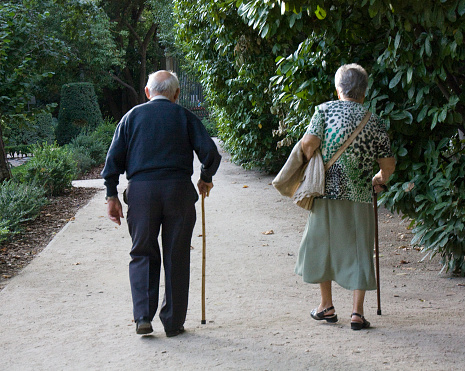 Madrid, Spain_ September 22, 2010: Rear view of senior couple walking on garden path, both using walking cane.