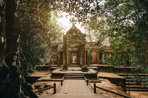 Angkor Wat Cambodia. Ta Prohm Khmer ancient Buddhist temple in jungle forest. Famous landmark, place of worship and popular tourist travel destination in Asia.