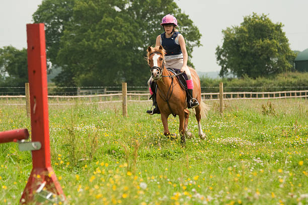 istock Horse approaches a jump in rural setting 146968823