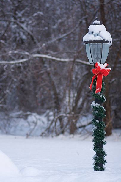 istock Holiday Lamppost with Fresh Snow 146968847