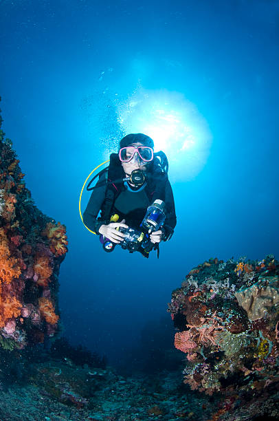 istock Diver with camera along the reef, underwater photographer, Lembeh, Asia 146968883