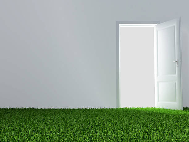 istock door and green lawn 146968984