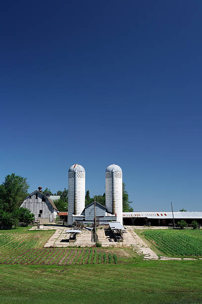 istock Rural midwestern farmstead 146969315