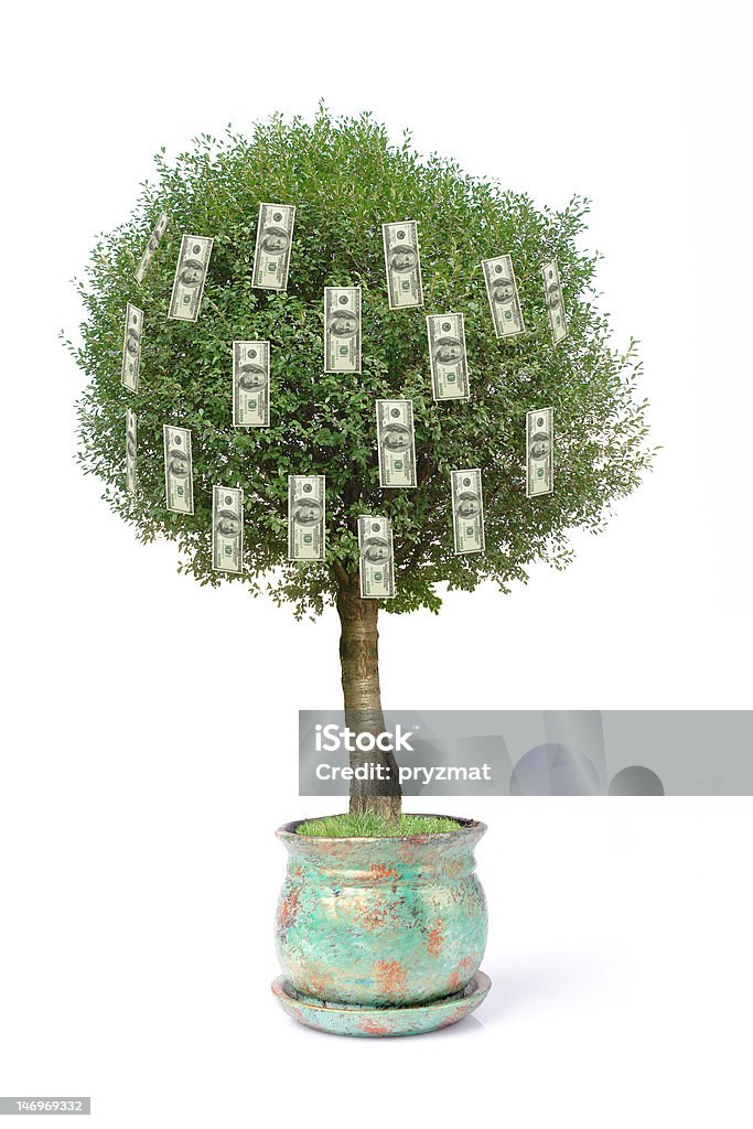 Árvore de cem dólares - Foto de stock de Número 100 royalty-free