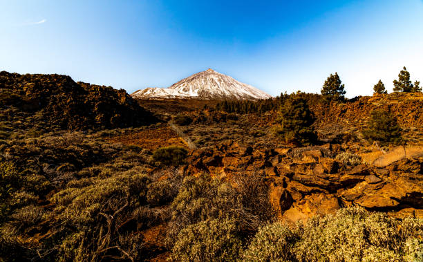 istock Snowy peak of Teide volcano. 1469703245