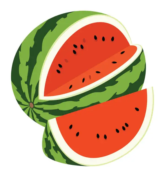 Vector illustration of Watermelon icon on a white background