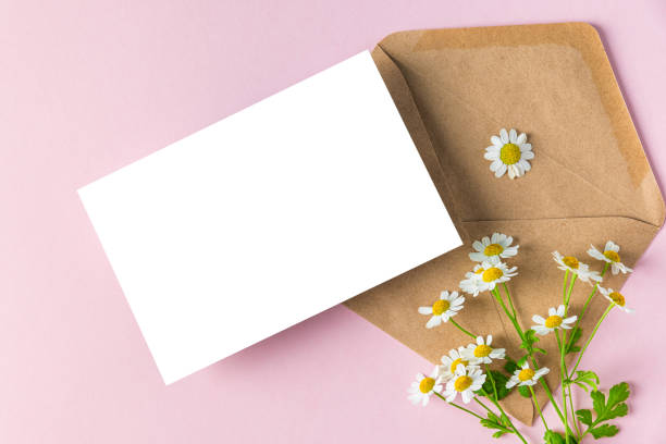 istock Blank greeting card and envelope with white chamomile flowers on pink background. Wedding invitation. Mock up 1469722888